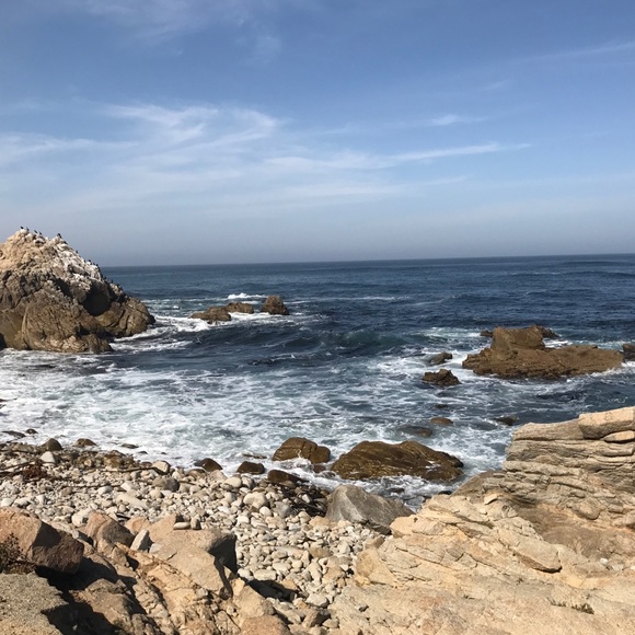 POSH AMBASSADOR | Like this to bookmark my Closet! - Picture 3 of 10